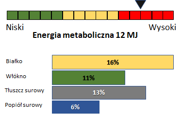 wykres analityczy mesz dla koni Apetizer