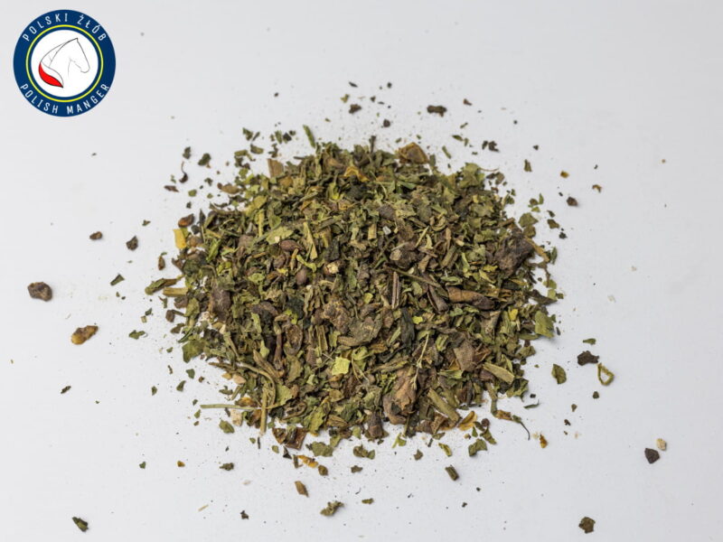 PREBIOTYCZNE MIESZANKI OWOCOWO - ZIOŁOWE DLA KLACZY ŹREBNYCH - Zestaw ziołowy Jabłkowo-porzeczkowy PREBIOTYCZNE MIESZANKI OWOCOWO - ZIOŁOWE DLA KLACZY ŹREBNYCH - Zestaw ziołowy Jabłkowo-porzeczkowy