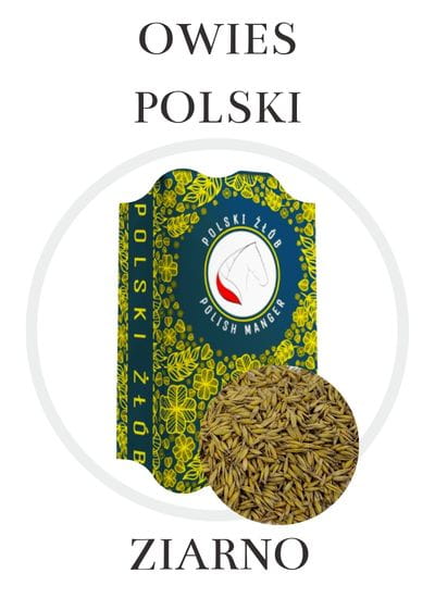Owies ziarno dla koni w Polski Żłób - dobra cena Owies ziarno dla koni w Polski Żłób - dobra cena