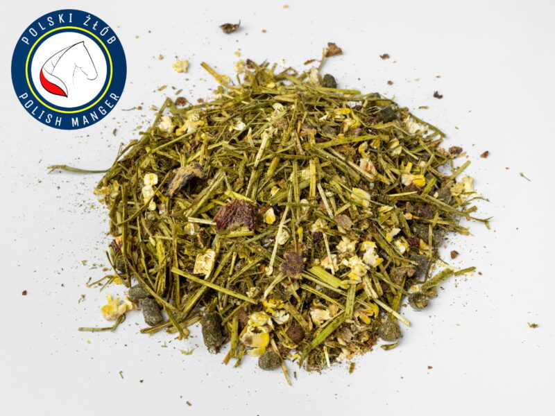 koni w intensywnym treningu koni w intensywnym treningu