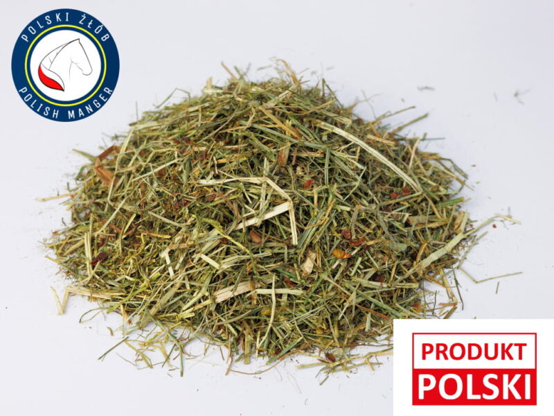 szybko tyjących szybko tyjących