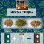 sieczki AlfAlfa Oil 12