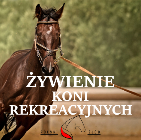 ŻYWIENIE KONI REKREACYJNYCH