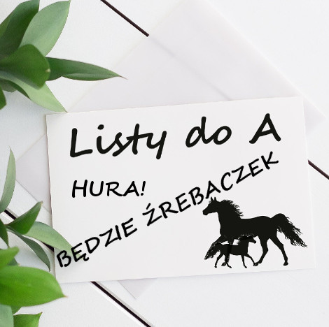 HURA! BĘDZIE ŹREBACZEK