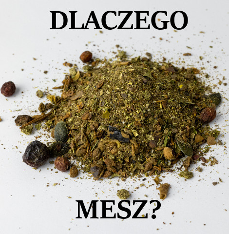 MESZ DLA KONI – DLACZEGO GO STOSUJEMY?