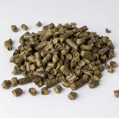 TRAWOKULKI DLA KONI. CZY TO KONIECZNA POZYCJA W JADŁOSPISIE KONI?