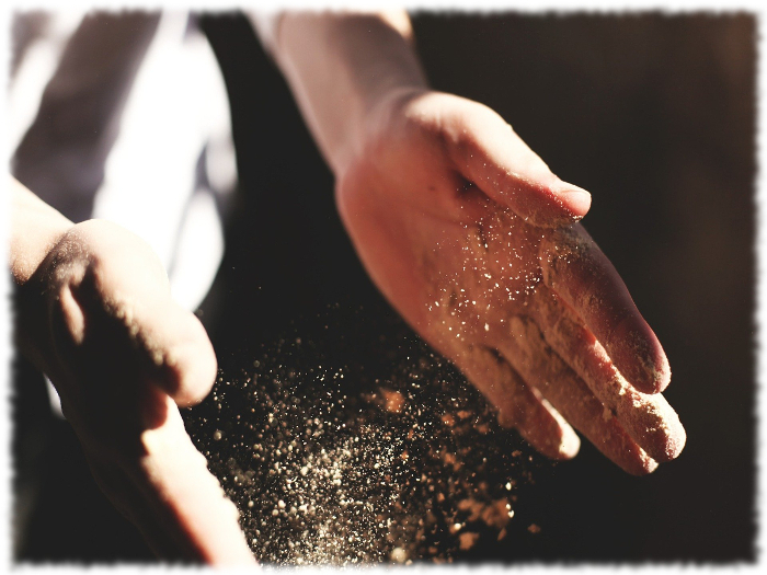 TEST PASZY DLA KONI – WYDECH I WDECH