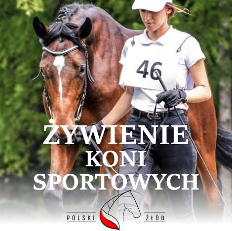 ŻYWIENIE KONI SPORTOWYCH