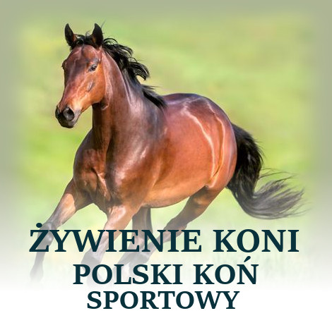 ŻYWIENIE KONIA ZE WZGLĘDU NA RASĘ – POLSKI KOŃ SPORTOWY