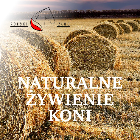 NATURALNE ŻYWIENIE KONI