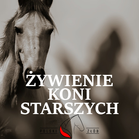 ŻYWIENIE KONI STARSZYCH
