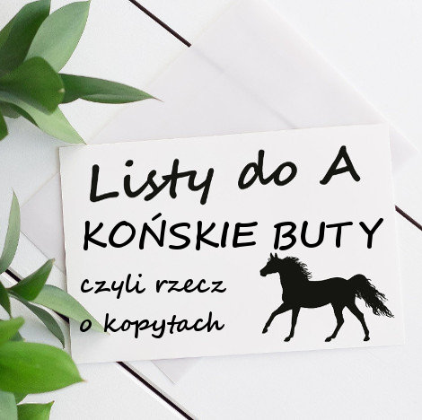 KOŃSKIE BUTY – CZYLI RZECZ O KOPYTACH