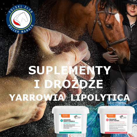 JAKIE SUPLEMENTY DLA KONI?