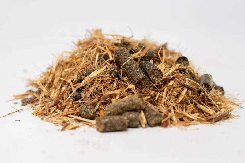 musli wrzodowe 1 musli wrzodowe 1