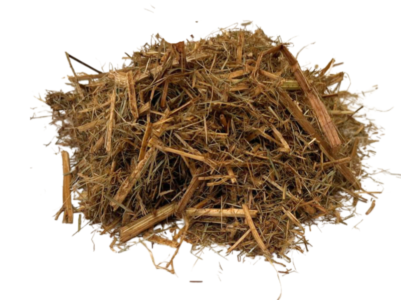 Projekt-bez-nazwy_20250702_111617_0000.png Projekt-bez-nazwy_20250702_111617_0000.png