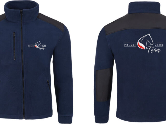 POLAR PREMIUM Z LOGO